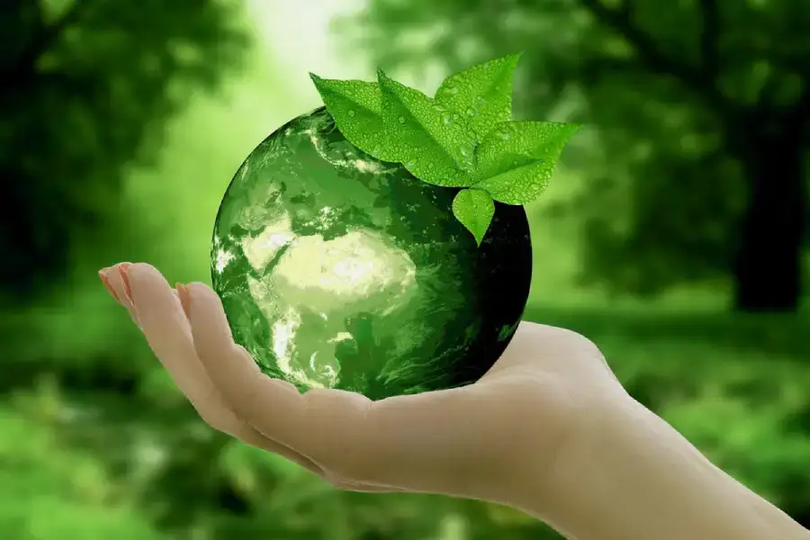 What is Sustainable Living and Why It's Important: A Clear Explanation