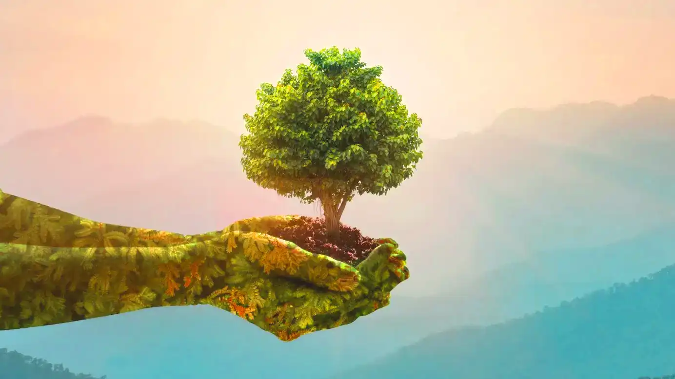 Minimalism Conserves Natural Resources - greentechwise.com