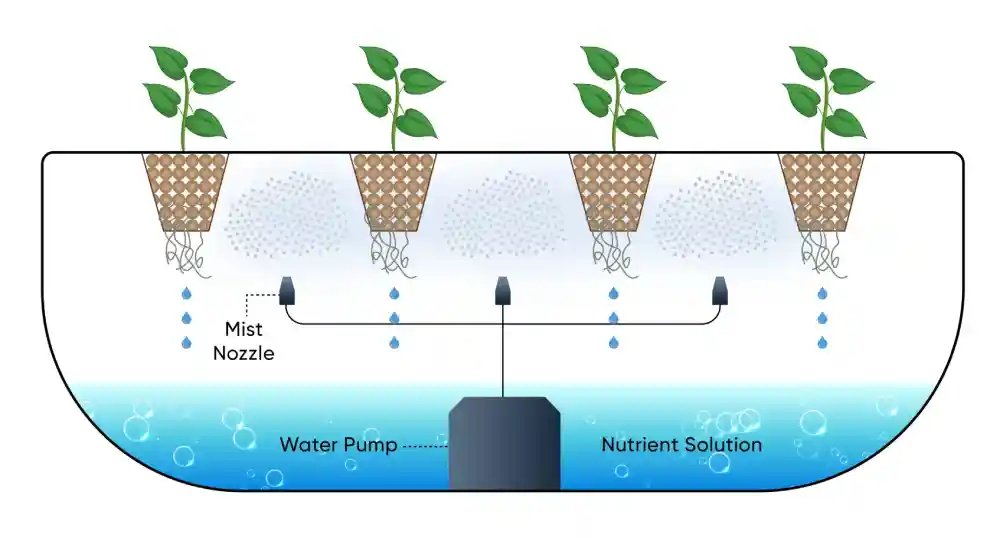 Aeroponic systems use a mist environment to grow plants, using less water than traditional methods.