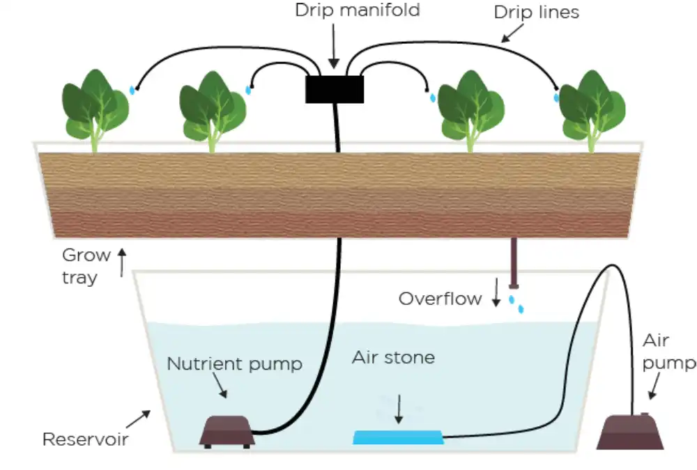 The Drip Hydroponic System uses small tubes to deliver water and nutrients directly to the plant roots.