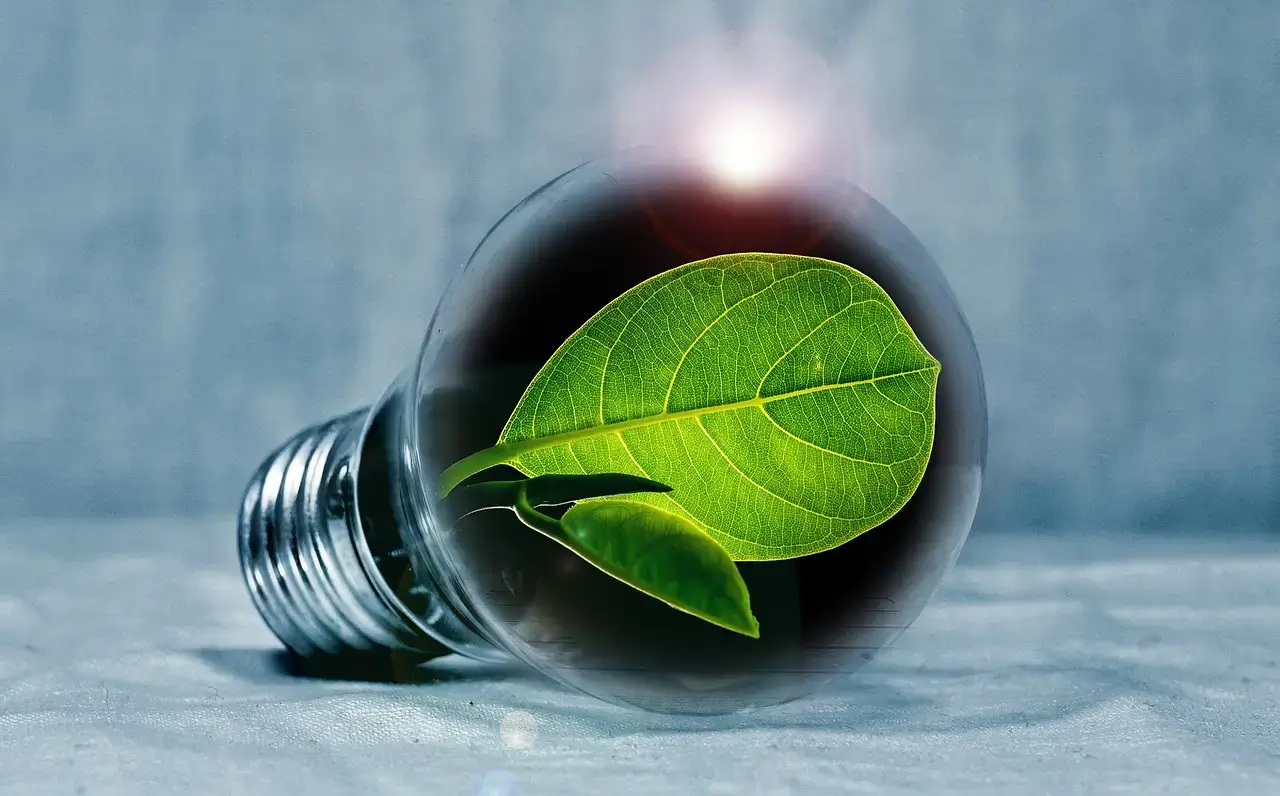 Reducing your carbon footprint by increasing your energy efficiency is one of the best ways to live sustainably. This involves using less energy to power your home and appliances.