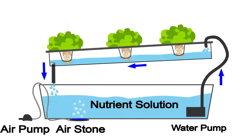 The Nutrient Film Technology (NFT) system is a hydroponic system that uses water pumps to deliver nutrients to plants.